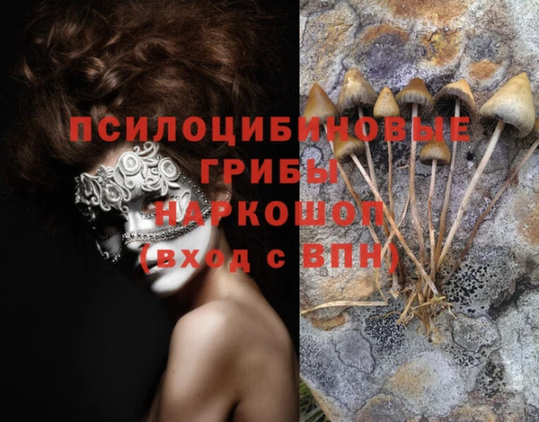 ПСИЛОЦИБИНОВЫЕ ГРИБЫ Алексин