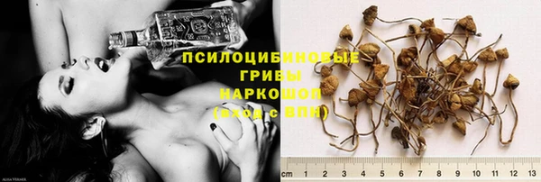 ПСИЛОЦИБИНОВЫЕ ГРИБЫ Алексин
