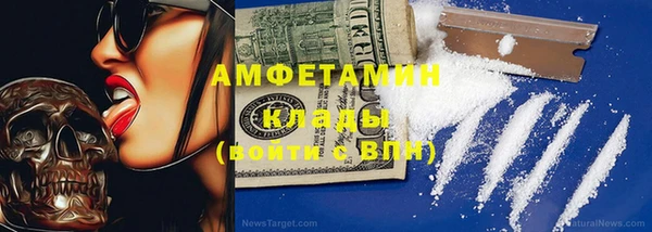 прущие грибы Аркадак