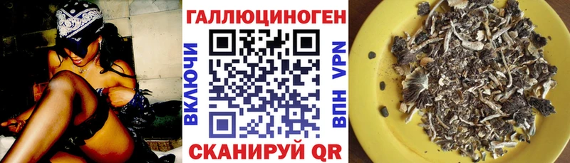 где продают наркотики  Бологое  Псилоцибиновые грибы MAGIC MUSHROOMS 